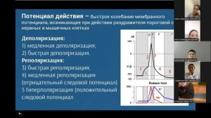 Нервно мышечная физиология