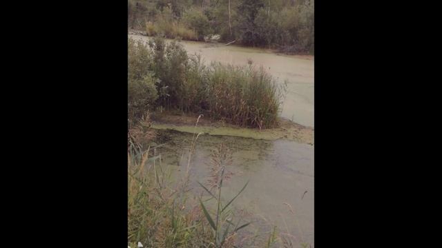 Природа России 6