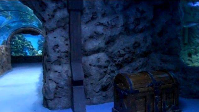 Океанариум смотреть онлайн