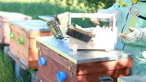 ЯЩИК ПЧЕЛОВОДА