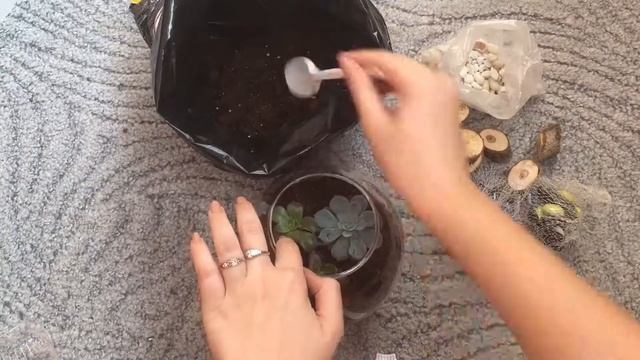 Создание флорариума. Бесплатный МК. Мастер-класс. Суккуленты. Композиция своими руками