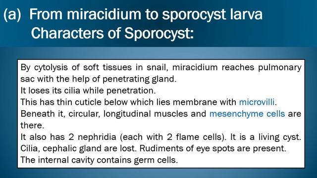 Fasciola hepatica: Life Cycle and Pathogenicity смотреть онлайн