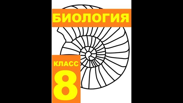 § 58 Социальная и природная среда человека смотреть онлайн