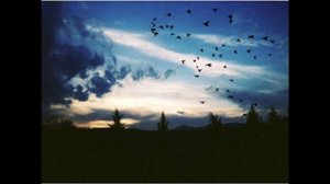 John Martyn - Glory Box ( Morning Electrics)