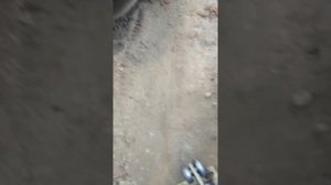честный отзыв о воротах фирмы дорхан