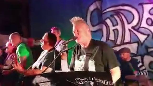 Not Quite Dead Yet at Shrewkfest 2019 смотреть онлайн