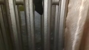Промывка системы отопления в квартире. Часть 2 - результат