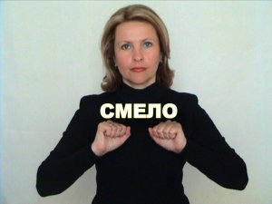 ЖЕСТОВЫЙ ЯЗЫК. СЛОВАРЬ. Смело