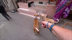 358. Индия 2022. Путтапарти. Собираю чемодан. А что ты хотела? Терпи, раз создала Ютуб канал...