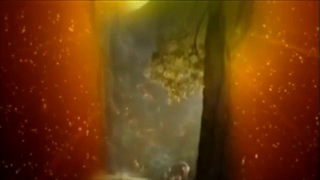 «Послание Господа», часть 14 «Чему мы в действительности должны учиться» смотреть онлайн