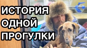 Спасение животных_ Нам привезли старенького такса_Он замерзал на дороге