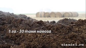 Биогумус Инструкция к применению