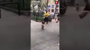 В Китае появилась новая звезда интернета - собака, которая почти всегда бегает на задних лапах.