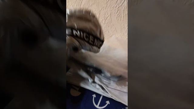 комбинезон для собаки малой породы. весна, зима. той терьера, йорк. размер s смотреть онлайн