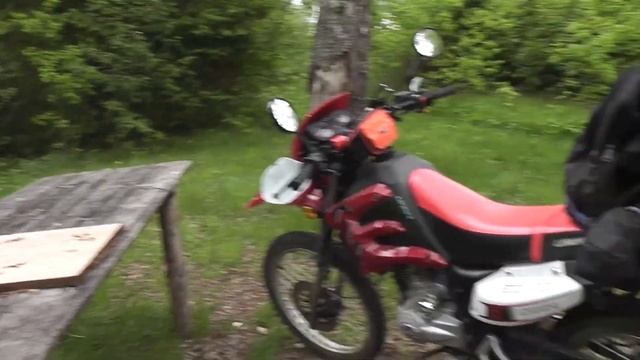 Поездка в лес к реке Люлех. Новые места для стоянок. Ивановская область. смотреть онлайн