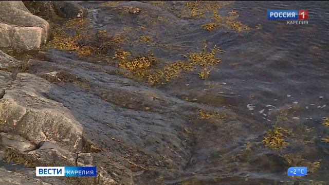 Увеличена норма вылова рыбы для рыбаков-любителей смотреть онлайн