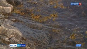 Увеличена норма вылова рыбы для рыбаков-любителей