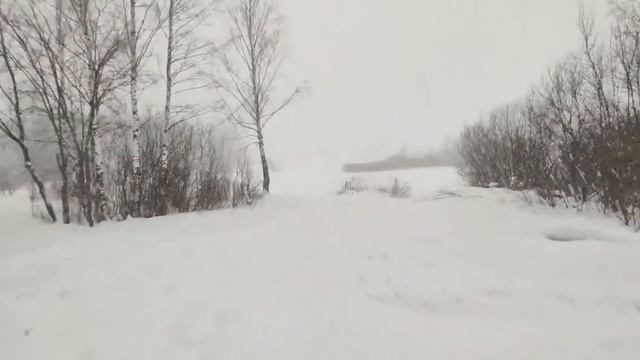 "ТОРФЯНКА" !!! "Лосиный остров"!!! смотреть онлайн