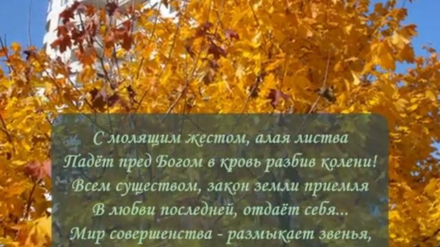 Я так измучилась. Подборка поэзии под музыку. Автор-исполнитель Ханна Винокур. Вильнюс смотреть онлайн