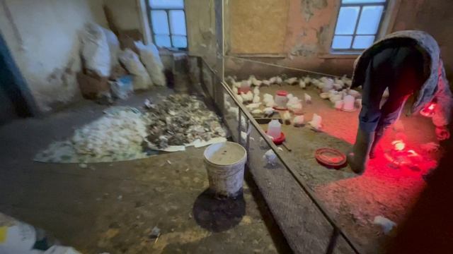 16-10-2023 смотреть онлайн