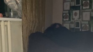 ВЫЗВАЛИ МАТЕРНОГО ГНОМИКА И ОН ПРИШЕЛ!!! ШОК!!!