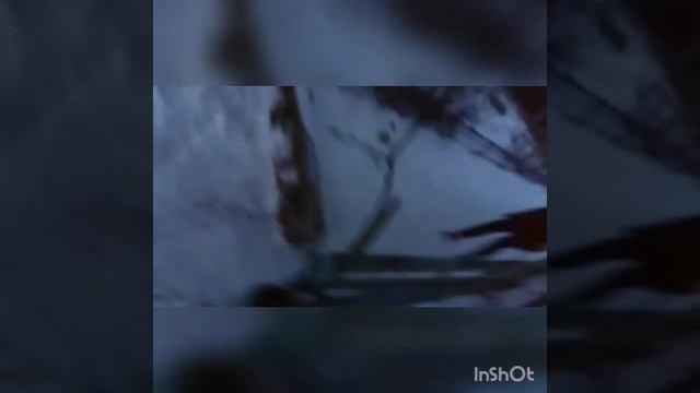 Пролазием в детский садик. смотреть онлайн