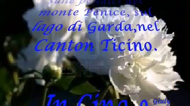 இڿڰۣ PEONIE BIANCHE ڿڿڿஇ смотреть онлайн