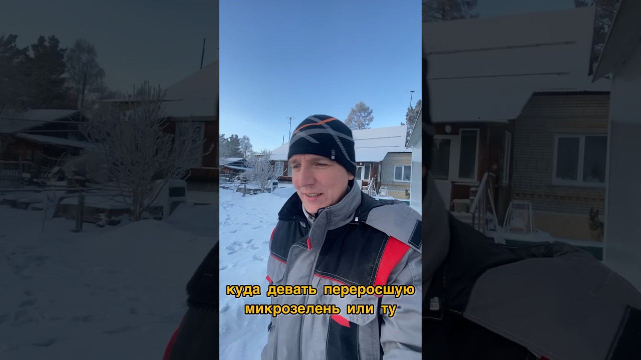 Зелень для куриц посреди зимы #микрозелень #огородкруглыйгод #огороднабалконе
