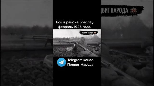 #бой #бреслау #история #армия #военнаяистория #историястраны