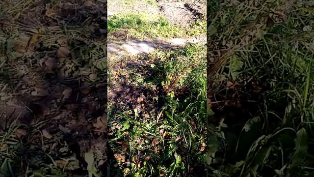 переделываем старую дачу