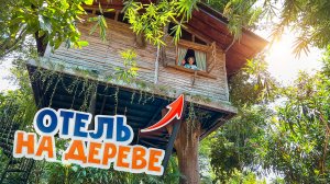 48 часов в ДОМЕ на ДЕРЕВЕ! Обзор отеля с ГИГАНТСКИМИ домами на дереве на Бали