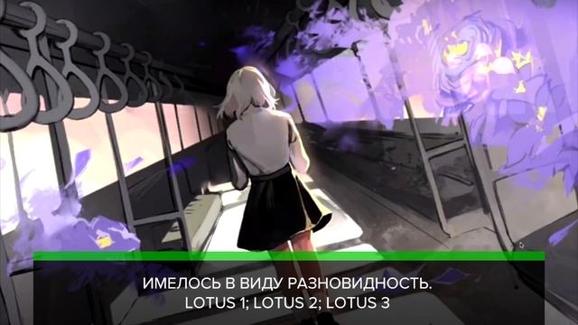 ИСТОРИЯ ВИЗУАЛЬНЫХ НОВЕЛЛ | Часть первая