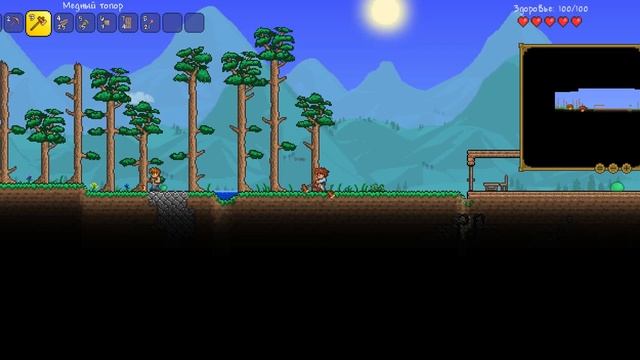 решил первым записать видео по террарии смотреть онлайн