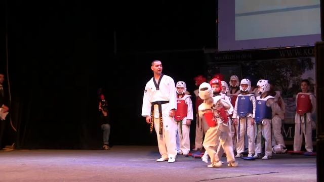 Тхэквондисты Ужгорода смотреть онлайн