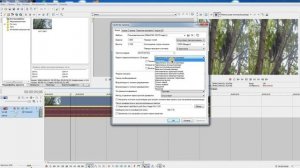Окно предпросмотра.Как убрать два экрана с Сони Вегас?