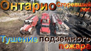 ?????ОНТАРИО?????СГОРЕВШИЙ??ЛЕС? ?ТУШЕНИЕ?ПОДЗЕМНОГО?ПОЖАРА? ?ПОДП❗ НАЖМ?В ТОП