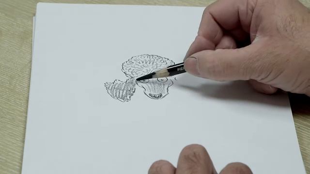 More drawing with Chris Riddell | Waterstones смотреть онлайн