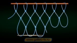 как сделать ловушку для птиц из лески