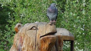 23.07.2021 Муром-Ухта. Часть 2. Отрезок Юрья-Ухта