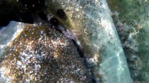 Дубай в ноябре, отель citymax bur dubai 3*