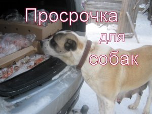 "Просрочка" для кормления собак