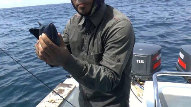 Самые красивые острова. ЛЕМБОНГАН. ОТДЫХ на Бали.Рыбалка и Снорклинг на Бали. Fishing on BALI. КЛИП смотреть онлайн