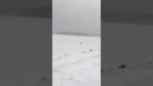 Лодка прилипла к мокрому снегу,но потом все пошло замечательно‼️Аэролодку сделал мой муж ❤️❤️❤️