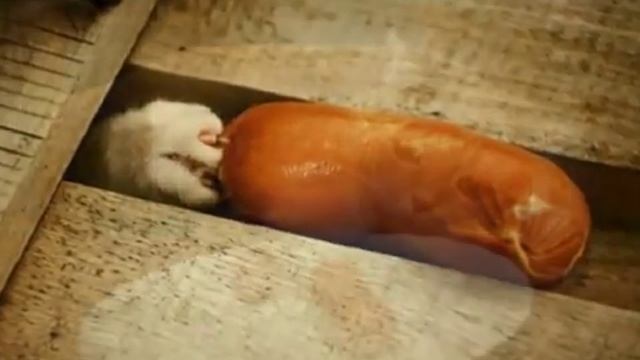 Kiskino gore смотреть онлайн