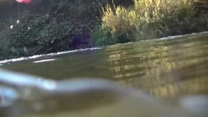 Дмитрий Мусихин и Коля Чемпион Раскопки на Железной реке!