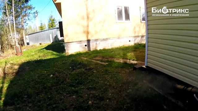 Обработка участка от клещей,комаров в Зарайске.Цена.Вызвать смотреть онлайн