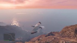 ЛОФОФОРЫ В GTA 5-ЧАЙКА.