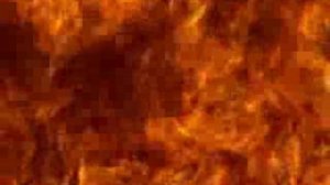 ТАЭКВОН-ДО (UFC и TKD)