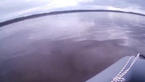 Лодка Таймыр 290 и Сеа Про 5 2х т