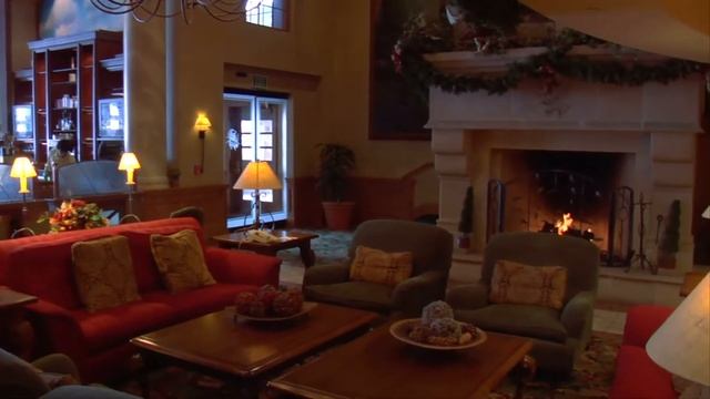 Врачи замалчивают: укус змеи — что делать? смотреть онлайн